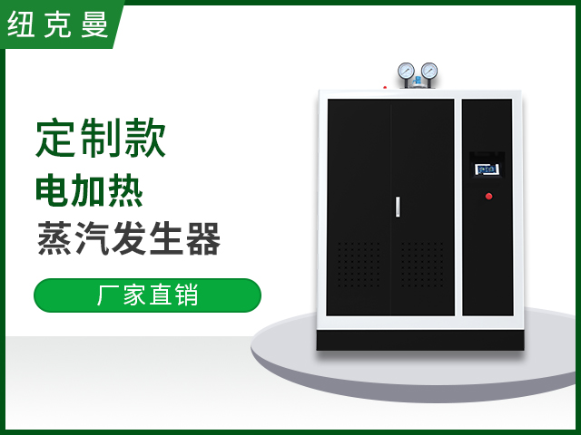 定製電加熱蒸（zhēng）汽發生器