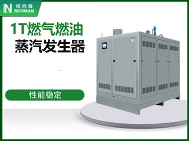 1T燃氣燃油蒸汽（qì）發生器
